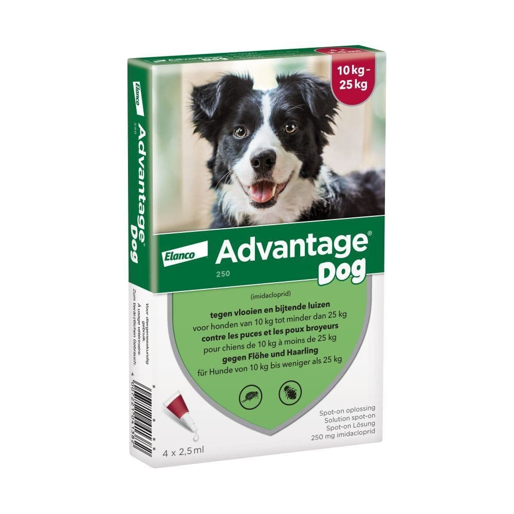Advantage 250 Spot-On Oplossing Hond 10<25kg