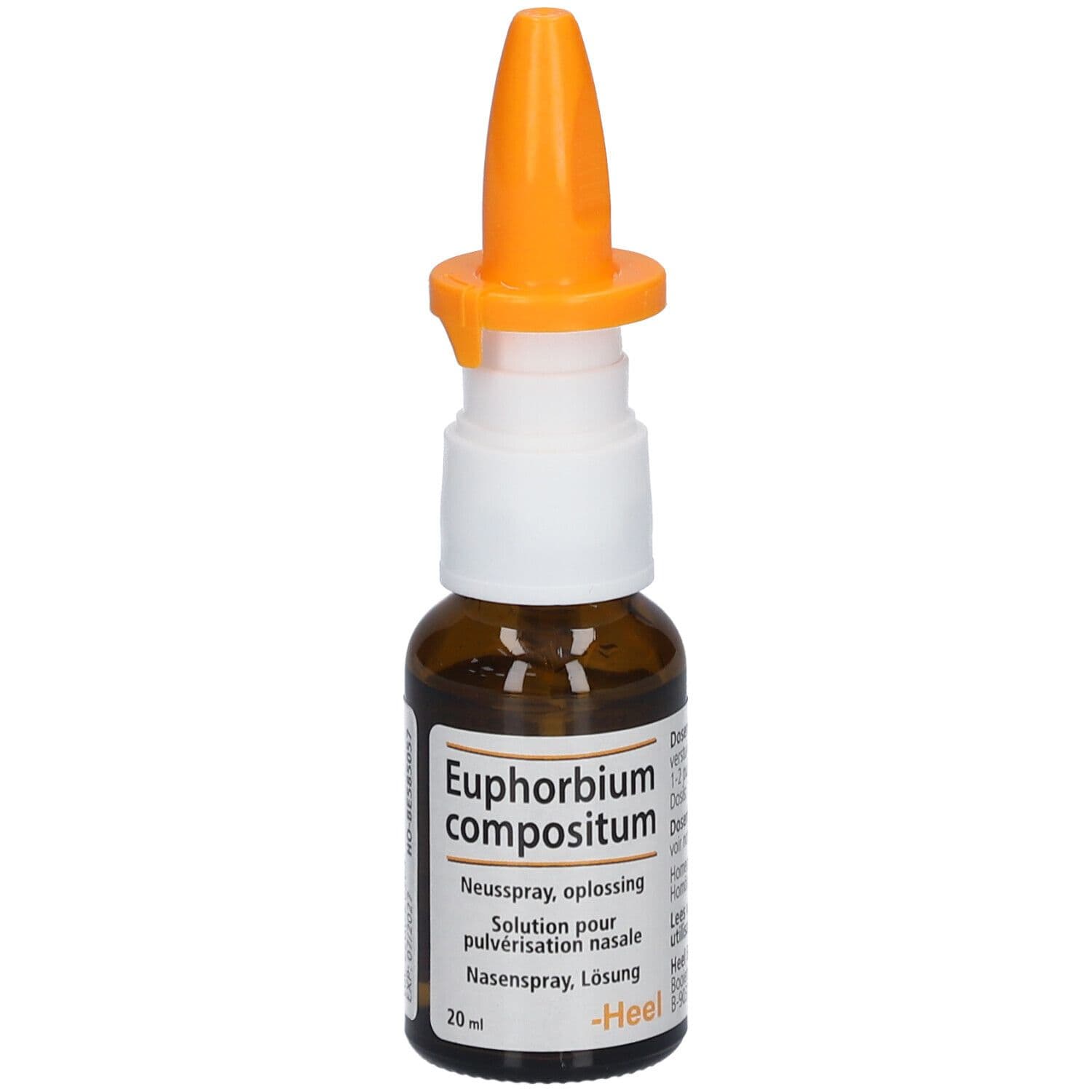Heel Euphorbium Compositum Neusspray