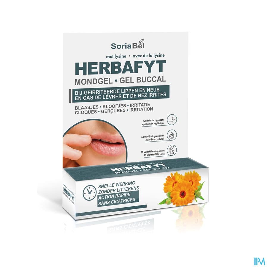Soria Natural Herbafyt Zalf