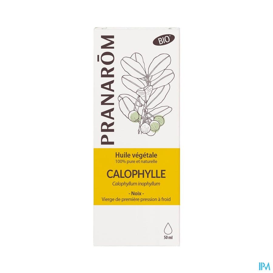 Pranarôm Plantaardige Olie Calophyllus Bio 50ml