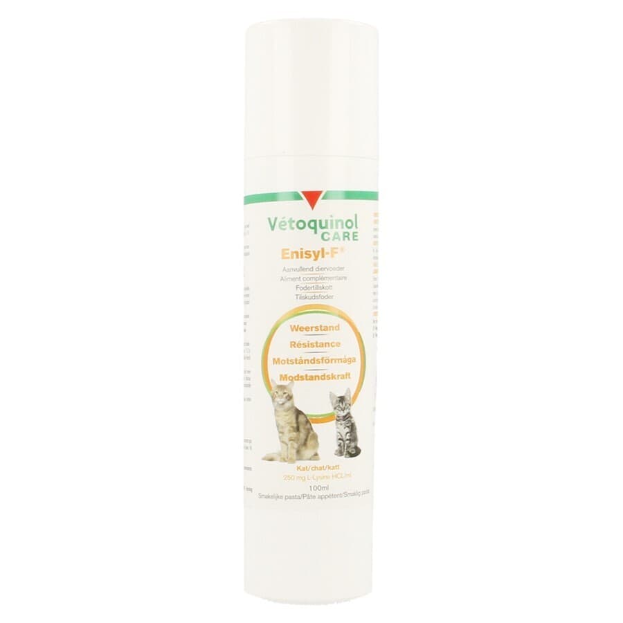 Enisyl F Orale Pasta Kat 100ml