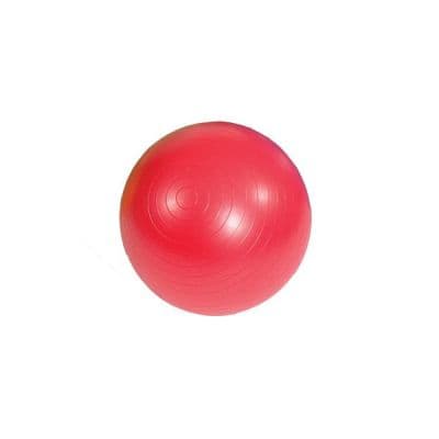 Advys ABS Bal + Pomp 55cm 1 stuks