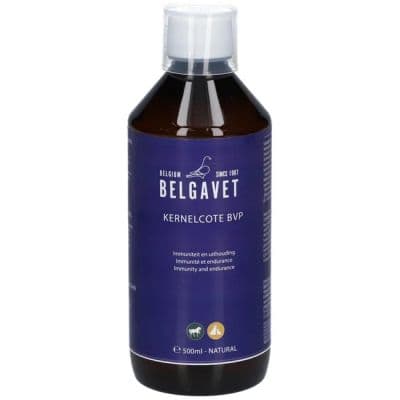 Belgavet Kernelcote Hond-kat-paard Vloeibaar 500ml