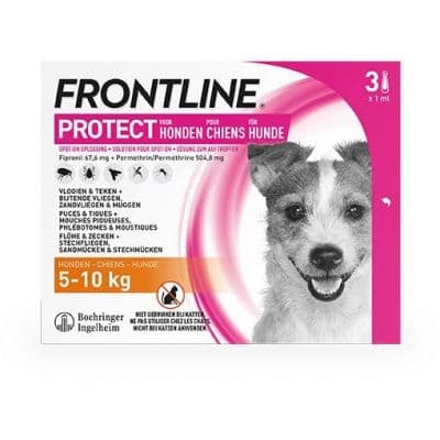 Frontline Protect Hond S 5-10kg Pipet 3 stuks