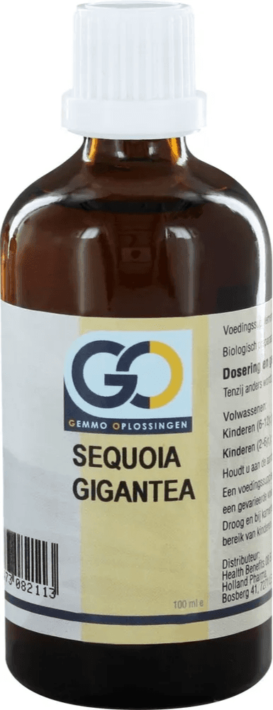 GO Gemmo Oplossingen Sequoia Gigantea